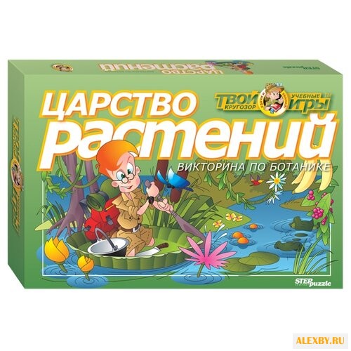 Набор настольных игр Step