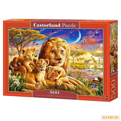 Пазл Castorland Dawn Pride