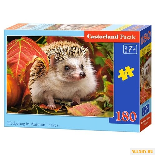 Пазл Castorland Hedgehog in