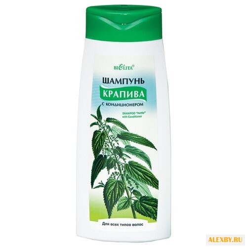 Bielita шампунь Крапива с
