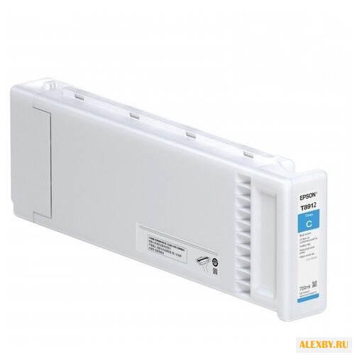 Картридж Epson C13T891200