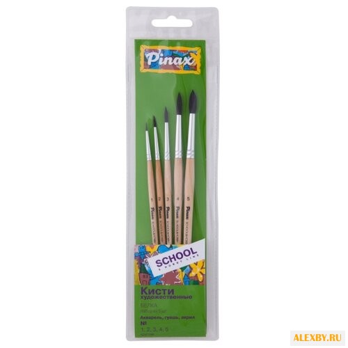 Набор кистей Pinax School &