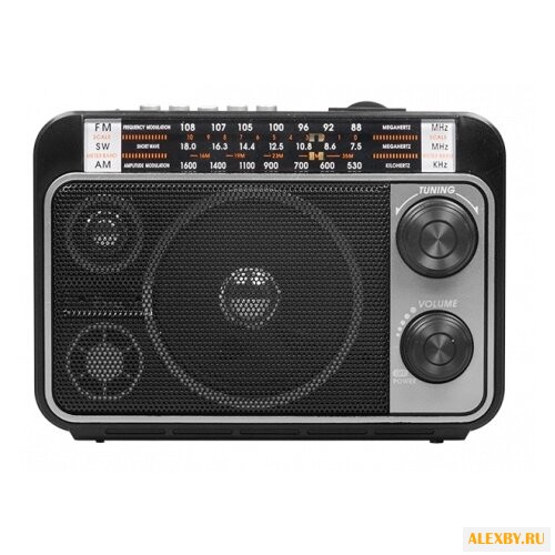 Радиоприемник Ritmix RPR-171