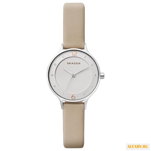 Наручные часы SKAGEN SKW2648