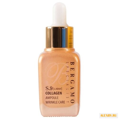 Bergamo Specialist S Nine