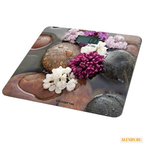 Весы Polaris PWS 1867DG