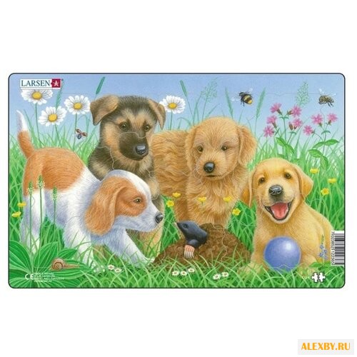 Рамка-вкладыш Larsen Щенки в