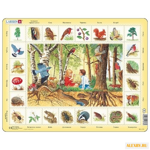 Рамка-вкладыш Larsen Лес NA4