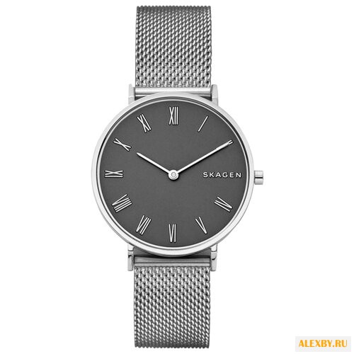 Наручные часы SKAGEN SKW2677