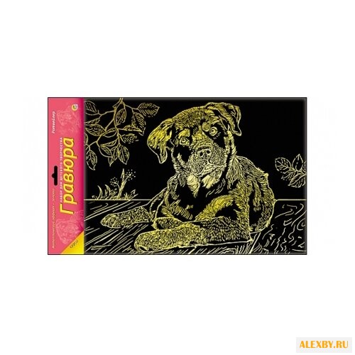 Гравюра Рыжий кот Ротвейлер в