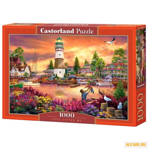 Пазл Castorland Love Lifted Me
