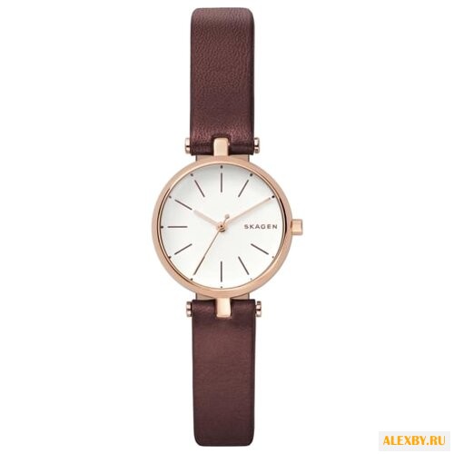 Наручные часы SKAGEN SKW2641