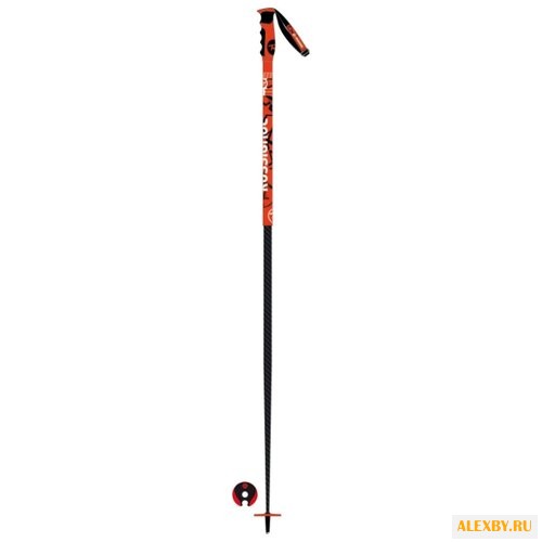 Палки для горных лыж Rossignol