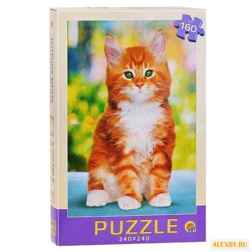 Пазл Рыжий кот Animal