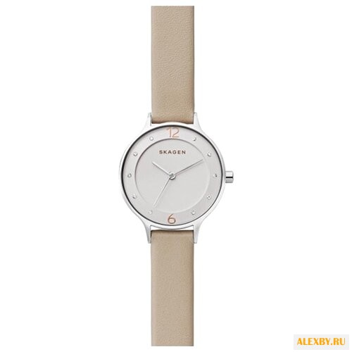 Наручные часы SKAGEN SKW1100