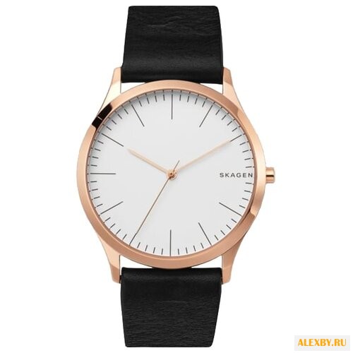 Наручные часы SKAGEN SKW1102