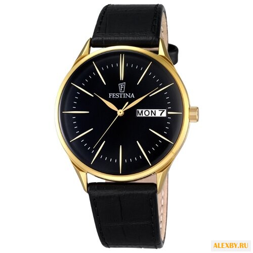 Наручные часы FESTINA F6838 3