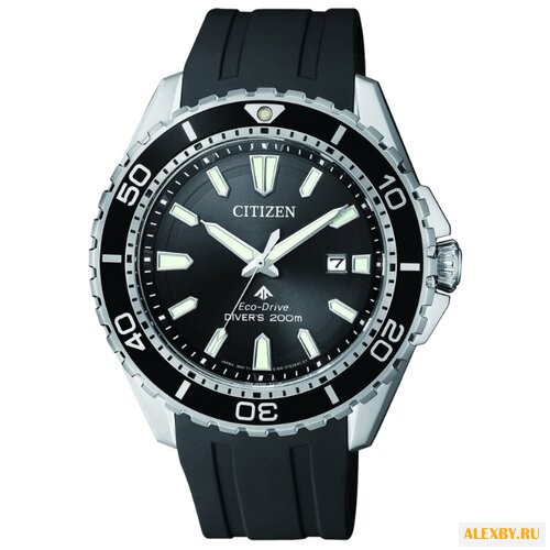 Наручные часы CITIZEN BN0190-15E