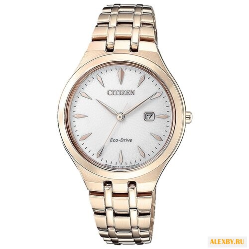 Наручные часы CITIZEN EW2493-81B