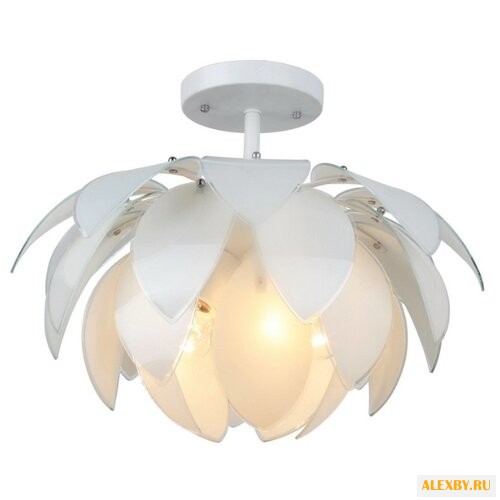 ESCADA Mistra 333 5PL