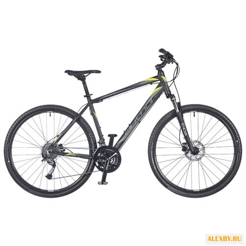 Горный гибрид Author Grand 2018