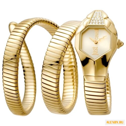 Наручные часы Just Cavalli