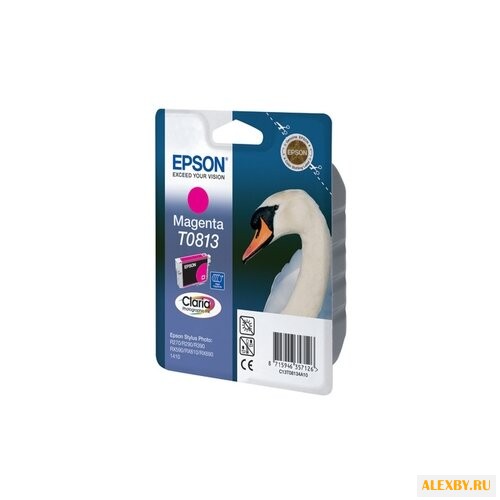 Картридж Epson C13T08134A10