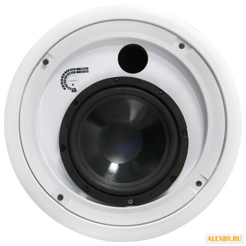 Сабвуфер CVGaudio SUB-S8T