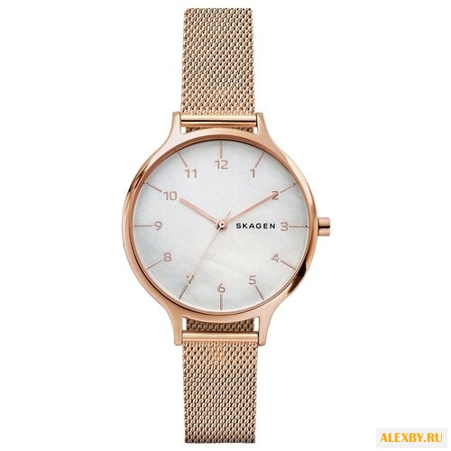 Наручные часы SKAGEN SKW2633