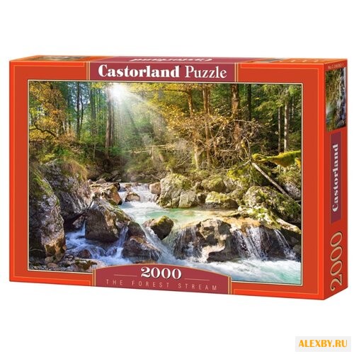 Пазл Castorland The forest