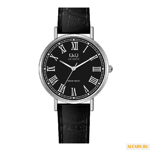Наручные часы Q&Q Q979 J814