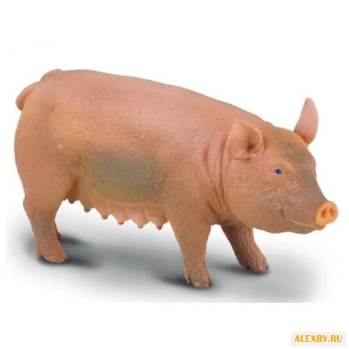 Фигурка Collecta Свинья 88006
