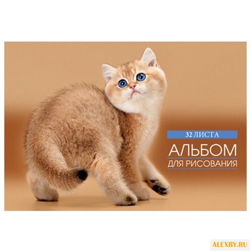 Альбом для рисования Проф-Пресс