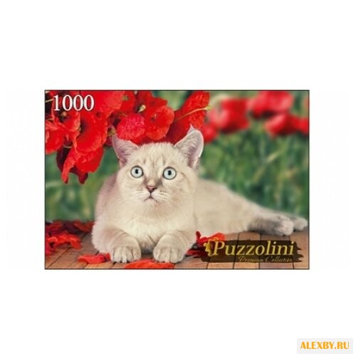 Пазл Рыжий кот Puzzolini Кот и