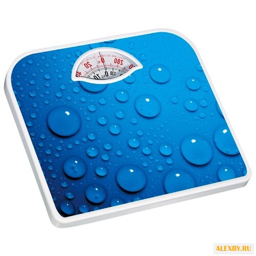 Весы Ладомир НА202 арт.6