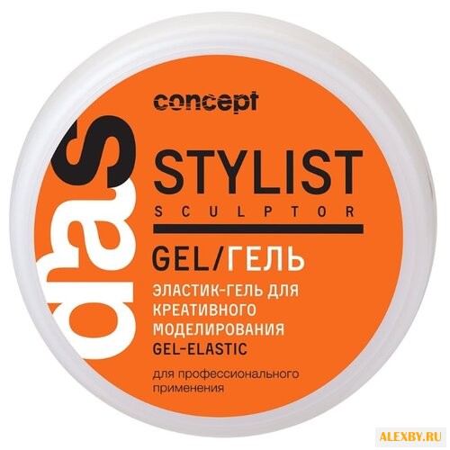 Concept Stylist Sculptor