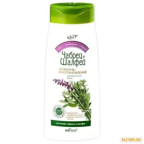 Bielita шампунь-восстановление
