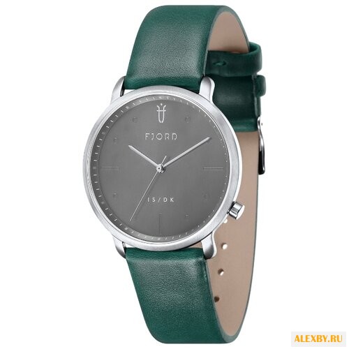 Наручные часы FJORD FJ-3031-04