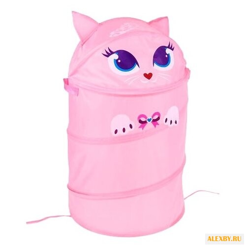 Корзина Школа талантов Котенок