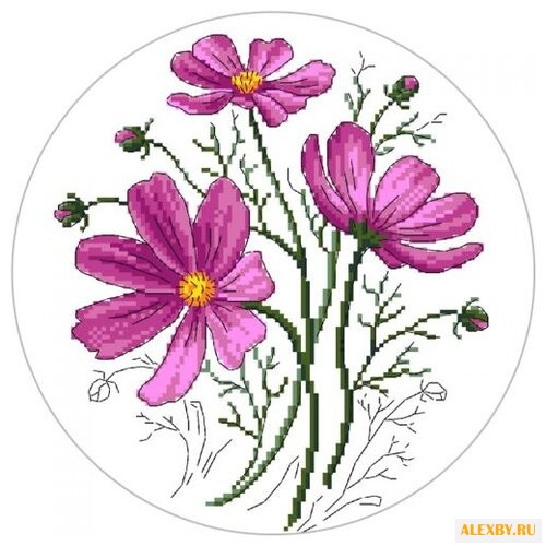 Цветной Вышивка крестом Космея