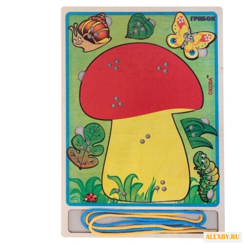 Оксва Грибок