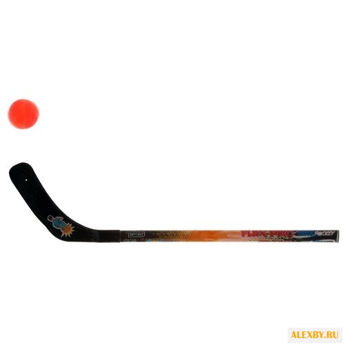 Набор для хоккея на траве