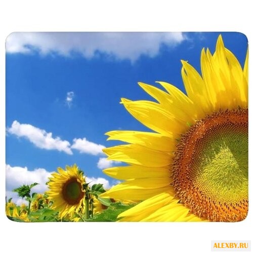 Коврик Buro BU-M20036 817310