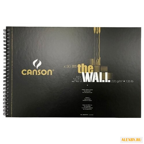 Скетчбук Canson The Wall 31.4
