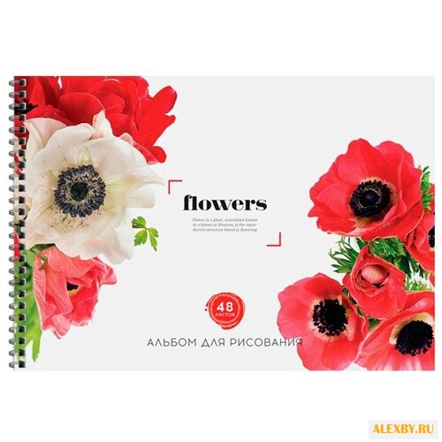 Альбом для рисования ArtSpace