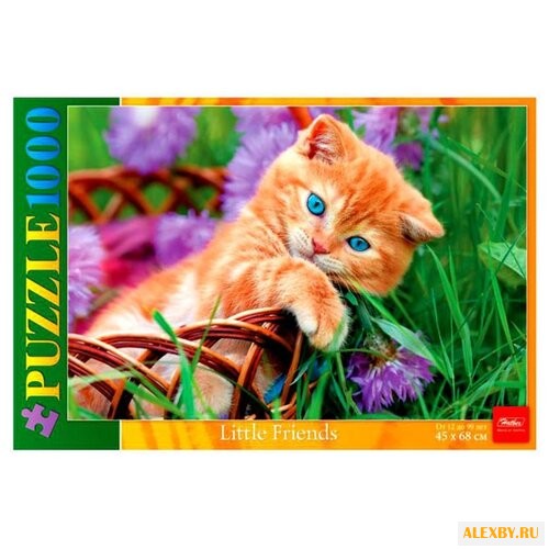 Пазл Hatber Little Friends