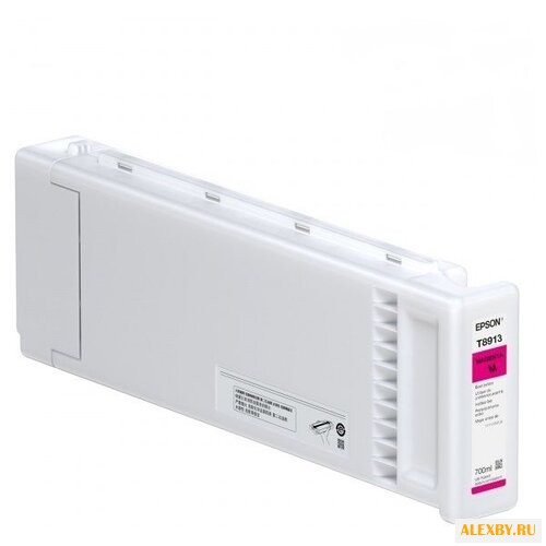 Картридж Epson C13T891300