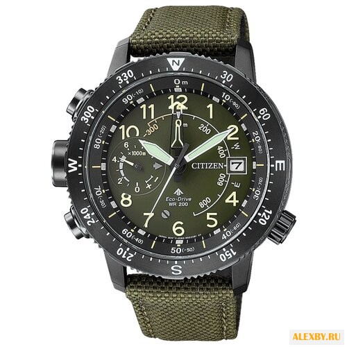 Наручные часы CITIZEN BN4045-12X