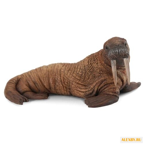 Фигурка Collecta Морж 88569