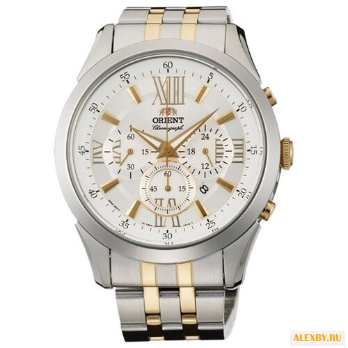 Наручные часы ORIENT TW04002S